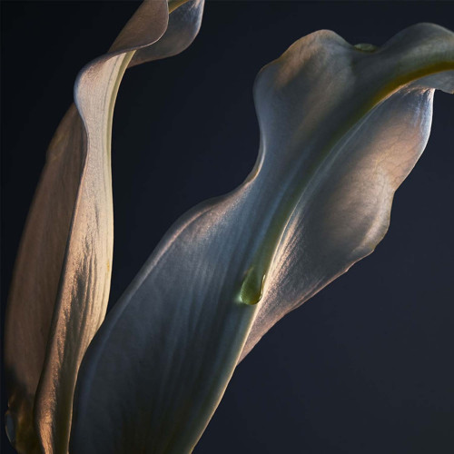 Paco Rabanne - Lady Million - Déodorant spray 150 ml