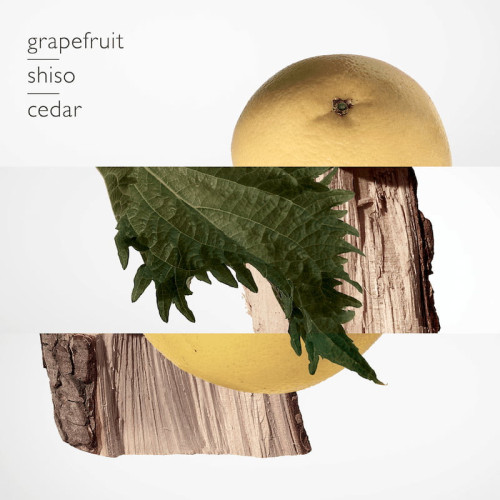 Hermès - Terre d'Hermès - Eau de Toilette